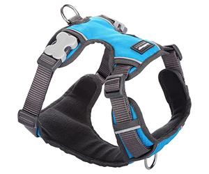 Red Dingo Padded Dog Harness Plain, Turquoise, Small 12mm