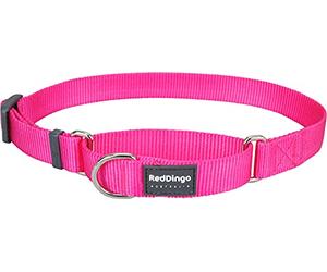 Red Dingo Plain Hot Pink Martingale Dog Collar (25mm x 41-62cm)