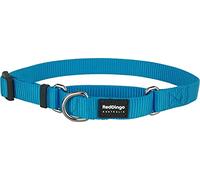 Red Dingo Plain Turquoise Martingale Dog Collar (15mm x 25-39cm)