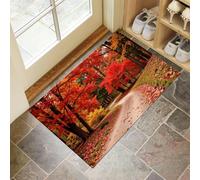 Red Door Mats Indoor, 50x70 cm Non-slip Doormats,Soft Low Pile Forest Road Print Front Door Mat,Machine Washable Autumn Falling Leaves Entrance Rug,Floor Carpet for Kitchen Bedroom