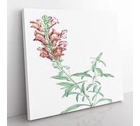 Red Dragon Flowers by Pierre Joseph Redoute Vintage Canvas Wall Art Print Ready to Hang, Framed Picture for Living Room Bedroom Home Office Décor, 50x50 cm (20x20 Inch)