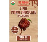Red Dragon Seeds LTD 7 Pot Primo Chocolate Chilli Seeds For Growing Hot Peppers