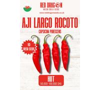 Red Dragon Seeds LTD Aji Largo Rocoto Chilli Seeds For Growing Hot Peppers