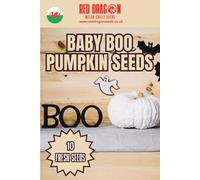 Red Dragon Seeds LTD Baby Boo Pumpkin Seeds For Vegetable Patch Growing
