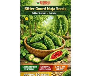Red Dragon Seeds LTD Bitter Gourd Naja Seeds For Vegetable Patch Growing
