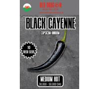 Red Dragon Seeds LTD Black Cayenne Chilli Seeds For Growing Hot Peppers