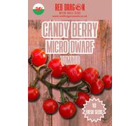 Red Dragon Seeds LTD Candy Berry Micro Dwarf Tomato Seeds For Home Garden Growing