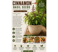 Red Dragon Seeds LTD Cinnamon Basil Herb Seeds For Pots And Gardens