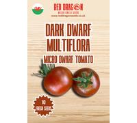 Red Dragon Seeds LTD Dark Dwarf Multiflora Micro Dwarf Tomato Seeds For Home Garden Growing