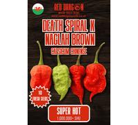 Red Dragon Seeds LTD Death Spiral X Naglah Brown Chilli Seeds For Growing Hot Peppers