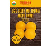 Red Dragon Seeds LTD Ggs Glory Multiflora Micro Dwarf Tomato Seeds For Home Garden Growing