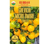 Red Dragon Seeds LTD Ghevichi Micro Dwarf Tomato Seeds For Home Garden Growing