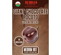 Red Dragon Seeds LTD Giant Chocolate Rocoto Chilli Seeds For Growing Hot Peppers