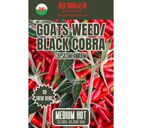 Red Dragon Seeds LTD Goats Weed/black Cobra Chilli Seeds For Growing Hot Peppers