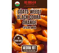 Red Dragon Seeds LTD Goats Weed/black Cobra Orange Chilli Seeds For Growing Hot Peppers