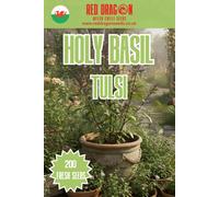 Red Dragon Seeds LTD Holy Basil Tulsi Herb Seeds For Pots And Gardens