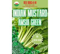 Red Dragon Seeds LTD Indian Mustard - Amsoi Green For Home Garden Growing