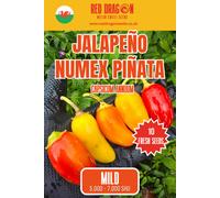 Red Dragon Seeds LTD Jalapeno Numex Pinata Chilli Seeds For Growing Hot Peppers
