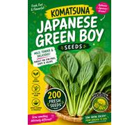 Red Dragon Seeds LTD Komatsuna Japanese Green Boy Seeds For Home Garden Growing