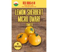 Red Dragon Seeds LTD Lemon Sherbert Micro Dwarf Tomato Seeds For Home Garden Growing