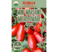 Red Dragon Seeds LTD Mini Marzano Micro Dwarf Tomato Seeds For Home Garden Growing