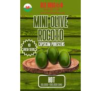 Red Dragon Seeds LTD Mini Olive Rocoto Chilli Seeds For Growing Hot Peppers