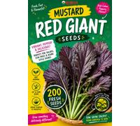 Red Dragon Seeds LTD Mustard Red Giant Seeds For Home Garden Growing