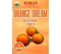 Red Dragon Seeds LTD Orange Dream Micro Dwarf Tomato Seeds For Home Garden Growing