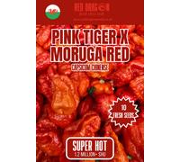 Red Dragon Seeds LTD Pink Tiger X Moruga Red Chilli Seeds For Growing Hot Peppers