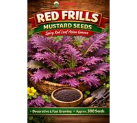 Red Dragon Seeds LTD Red Frills Mustard For Home Garden Growing