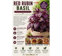 Red Dragon Seeds LTD Red Rubin Basil Herb Seeds For Pots And Gardens