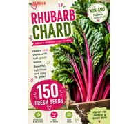 Red Dragon Seeds LTD Rhubarb Chard Seeds For Home Garden Growing
