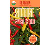 Red Dragon Seeds LTD Sunrise Sweet Pepper Seeds For Home Garden Growing
