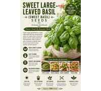Red Dragon Seeds LTD Sweet Large Leaved Basil Herb Seeds For Pots And Gardens