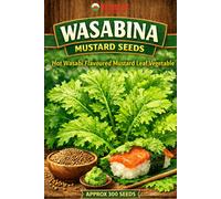 Red Dragon Seeds LTD Wasabina Mustard Seeds For Home Garden Growing