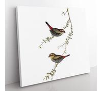 Red eared Finches Bird by Elizabeth Gould Vintage Canvas Wall Art Print Ready to Hang, Framed Picture for Living Room Bedroom Home Office Décor, 35x35 cm (14x14 Inch)