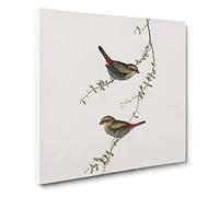 Red eared Finches Bird by Elizabeth Gould Vintage Canvas Wall Art Print Ready to Hang, Framed Picture for Living Room Bedroom Home Office Décor, 14x14 Inch (35x35 cm)