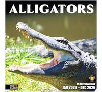 RED EMBER Alligators 2026 Wall Calendar 12 Month | 12" x 24" Open | Thick & Sturdy Paper | Giftable | Calendar 2026