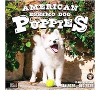 RED EMBER American Eskimo Dog Puppies 2026 Wall Calendar 12 Month | 12" x 24" Open | Thick & Sturdy Paper | Giftable | Calendar 2026