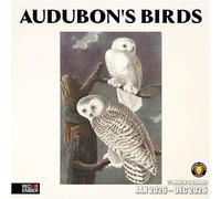 RED EMBER Audubon's Birds 2026 Wall Calendar 12 Month | 12" x 24" Open | Thick & Sturdy Paper | Giftable | Calendar 2026