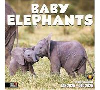 RED EMBER Baby Elephants 2026 Wall Calendar 12 Month | 12" x 24" Open | Thick & Sturdy Paper | Giftable | Calendar 2026