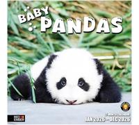 RED EMBER Baby Pandas 2026 Wall Calendar 12 Month | 12" x 24" Open | Thick & Sturdy Paper | Giftable | Calendar 2026