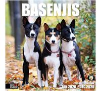 RED EMBER Basenjis 2026 Wall Calendar 12 Month | 12" x 24" Open | Thick & Sturdy Paper | Giftable | Calendar 2026