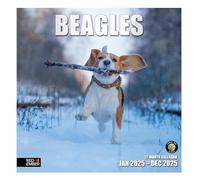 RED EMBER Beagles 2025 Hangable Monthly Wall Calendar | 12" x 24" Open | Thick & Sturdy Paper | Giftable | Hunting Dog | It's a Beagle Jubilee