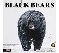 RED EMBER Black Bears 2026 Wall Calendar 12 Month | 12" x 24" Open | Thick & Sturdy Paper | Giftable | Calendar 2026