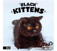 RED EMBER Black Kittens 2027 Wall Calendar12 Month | 12" x 24" Open | Thick & Sturdy Paper | Cute Kitten Cat Calendar 2027