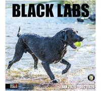 RED EMBER Black Labs 2026 Wall Calendar 12 Month | 12" x 24" Open | Thick & Sturdy Paper | Giftable | Calendar 2026