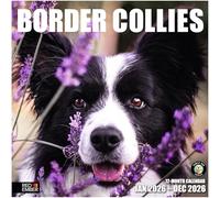 RED EMBER Border Collies 2026 Wall Calendar 12 Month | 12" x 24" Open | Thick & Sturdy Paper | Giftable | Calendar 2026
