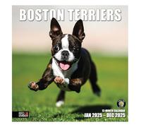 RED EMBER Boston Terriers 2025 Wall Calendar 12 Month | 12" x 24" Open | Thick & Sturdy Paper | Giftable | Calendar 2025