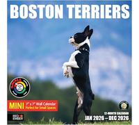 RED EMBER Boston Terriers 2026 Mini Wall Calendar 12 Month | 7" x 14" Open | Thick & Sturdy Paper | Giftable | Calendar 2026